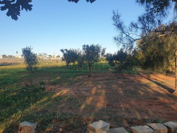 terreno agricolo in vendita a Casarano