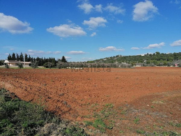 terreno agricolo in vendita a Casarano