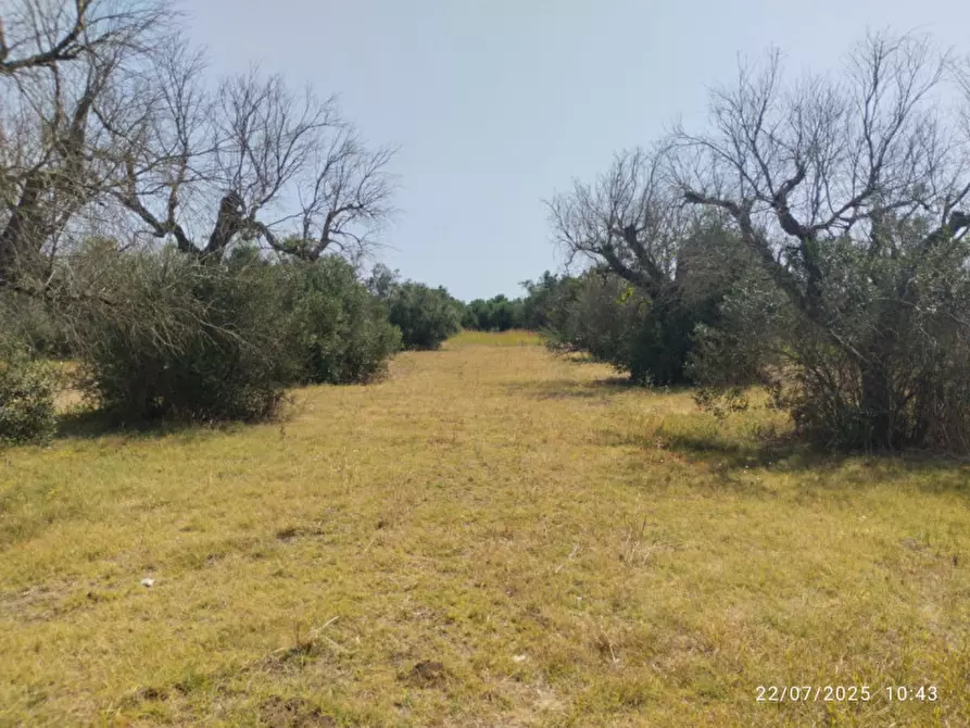 casa indipendente in vendita a Casarano