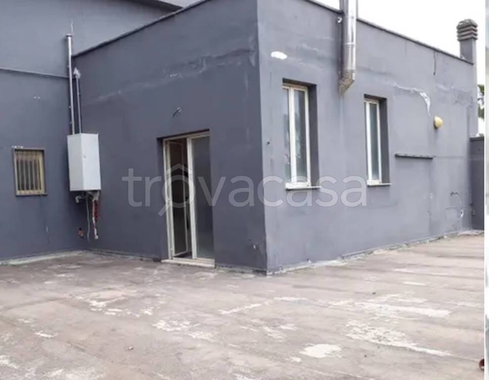 immagine annuncio 0 di 13