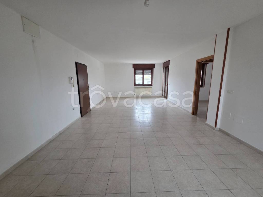 immagine annuncio 0 di 15