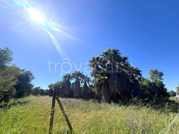 terreno agricolo in vendita a Casarano