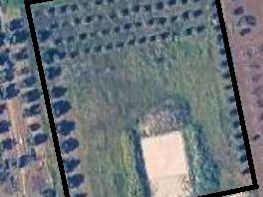 terreno in vendita a Casarano