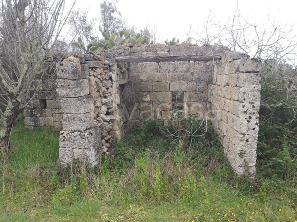terreno agricolo in vendita a Castri di Lecce