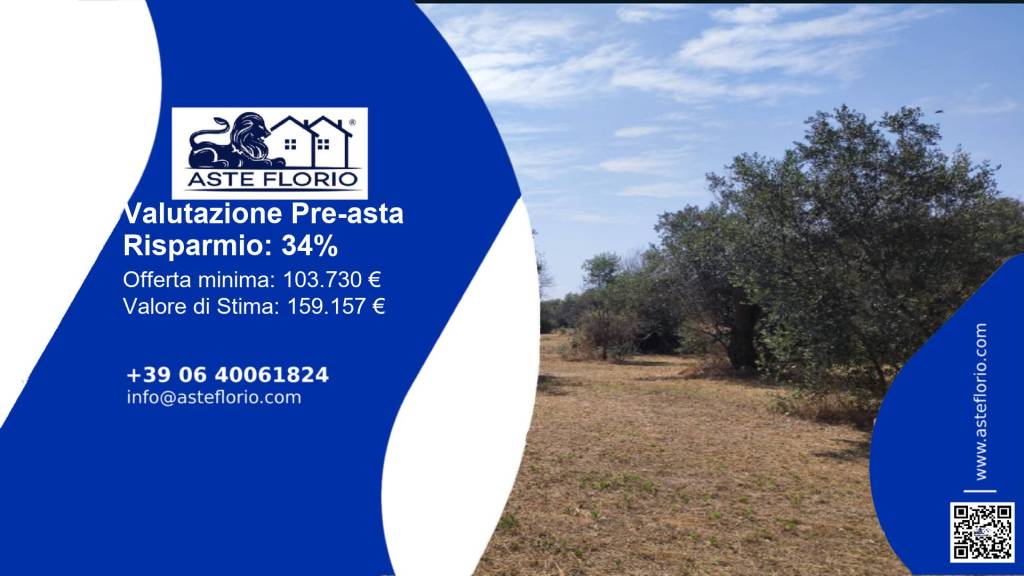 terreno agricolo in vendita a Castri di Lecce