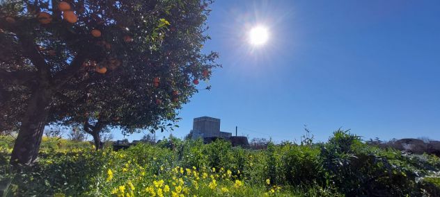 terreno agricolo in vendita a Castri di Lecce