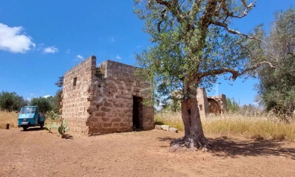 terreno agricolo in vendita a Castri di Lecce