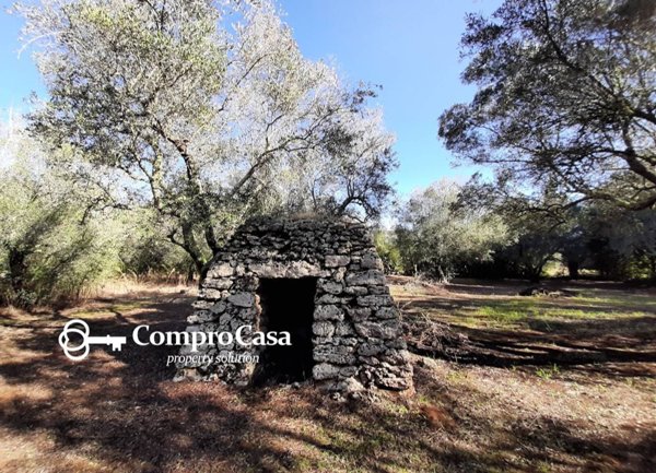 terreno agricolo in vendita a Castri di Lecce