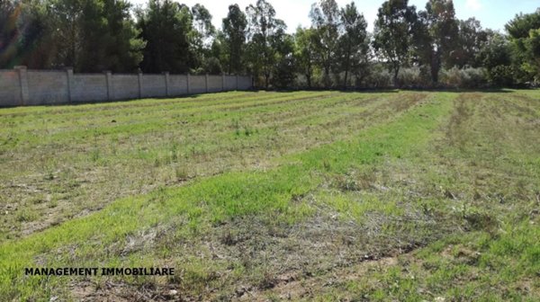 terreno agricolo in vendita a Castrignano de' Greci