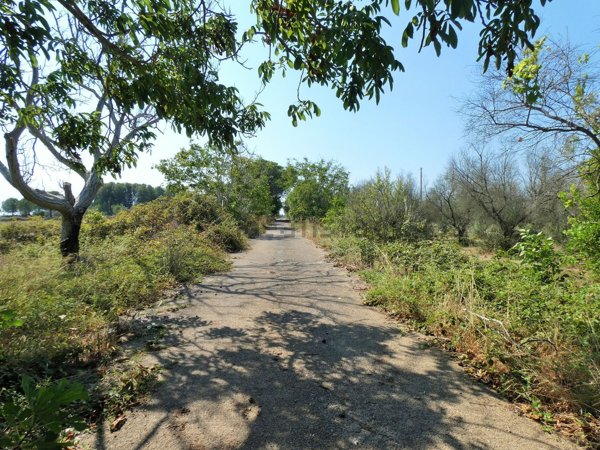 casale in vendita a Castrignano de' Greci