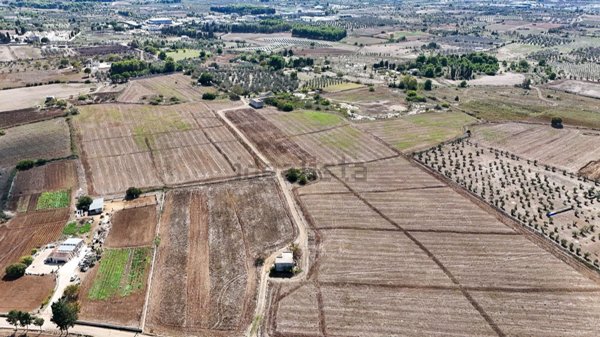 casale in vendita a Castrignano de' Greci