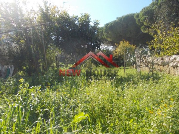 terreno agricolo in vendita a Castrignano del Capo