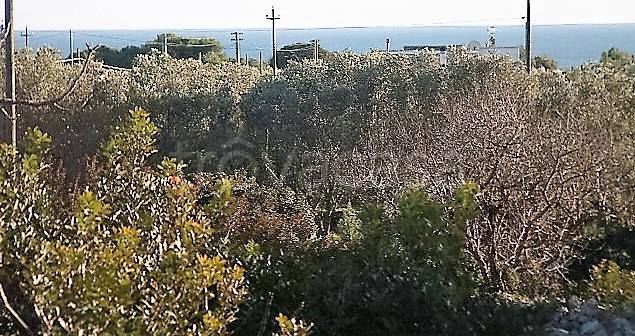 terreno agricolo in vendita a Castrignano del Capo