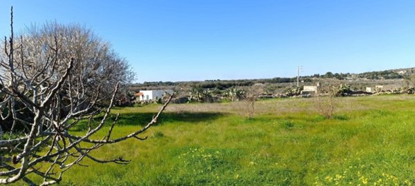 terreno agricolo in vendita a Castrignano del Capo in zona Santa Maria di Leuca