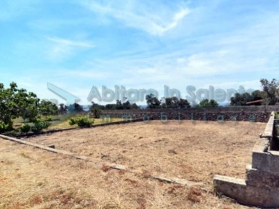 terreno agricolo in vendita a Castrignano del Capo