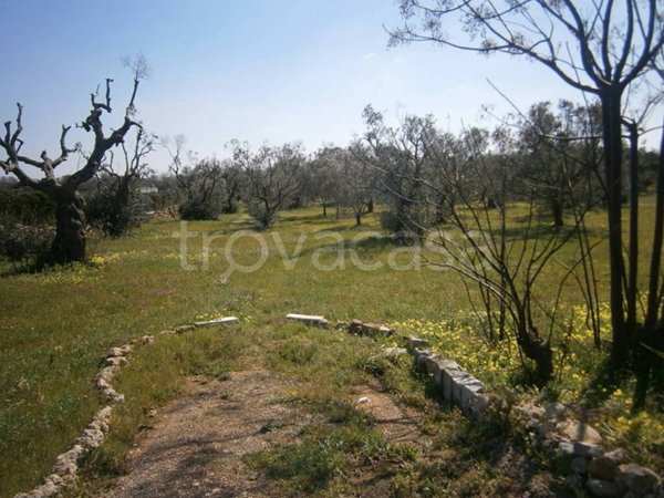terreno agricolo in vendita a Castrignano del Capo