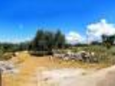 terreno agricolo in vendita a Castrignano del Capo