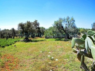 terreno agricolo in vendita a Castrignano del Capo