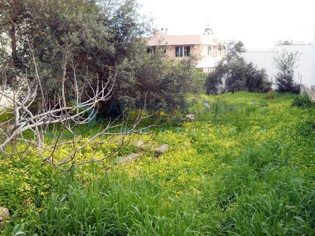 terreno agricolo in vendita a Castrignano del Capo