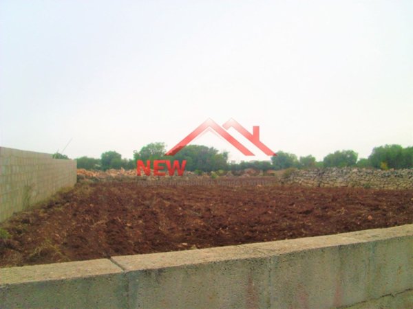 terreno agricolo in vendita a Castrignano del Capo