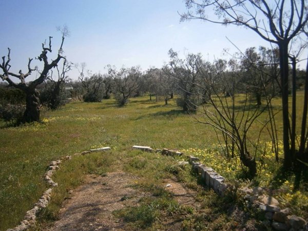 terreno agricolo in vendita a Castrignano del Capo