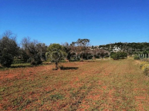 terreno agricolo in vendita a Castrignano del Capo