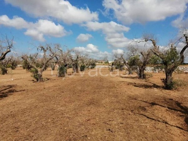 terreno agricolo in vendita a Castrignano del Capo in zona Giuliano di Lecce