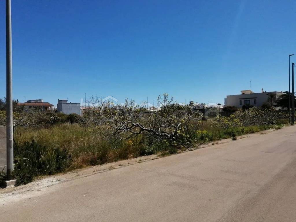 terreno agricolo in vendita a Castrignano del Capo