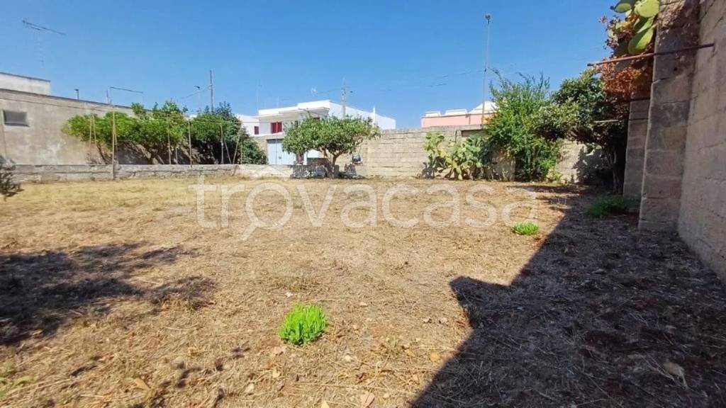 terreno agricolo in vendita a Castrignano del Capo in zona Salignano