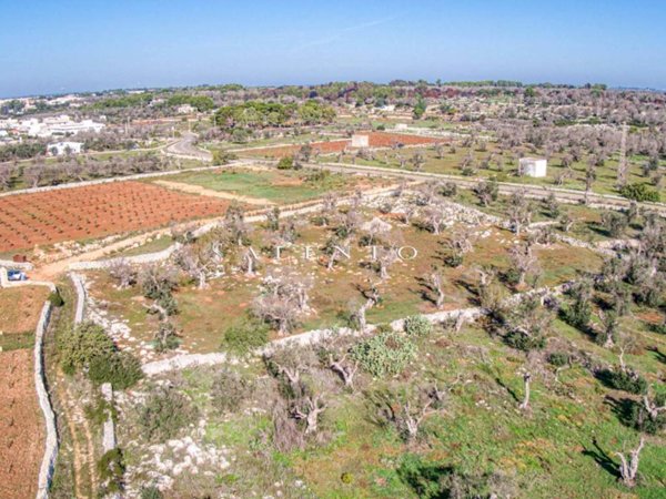terreno agricolo in vendita a Castrignano del Capo