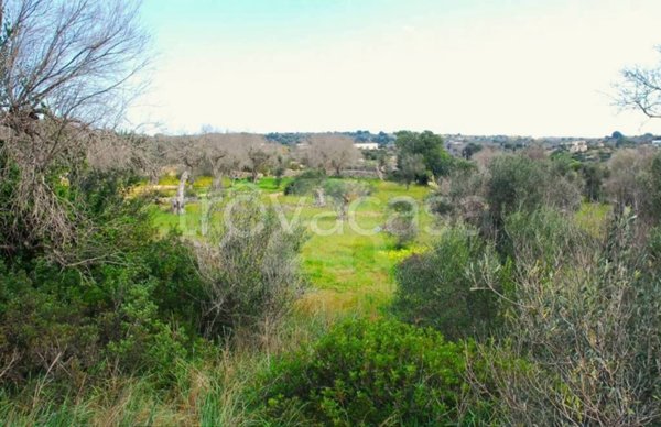 terreno agricolo in vendita a Castrignano del Capo