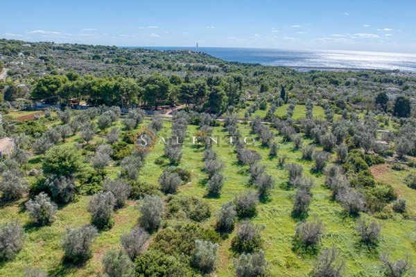 casa indipendente in vendita a Castrignano del Capo