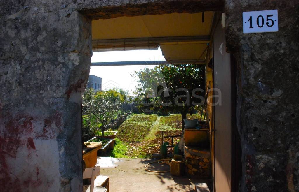 terreno agricolo in vendita a Castrignano del Capo