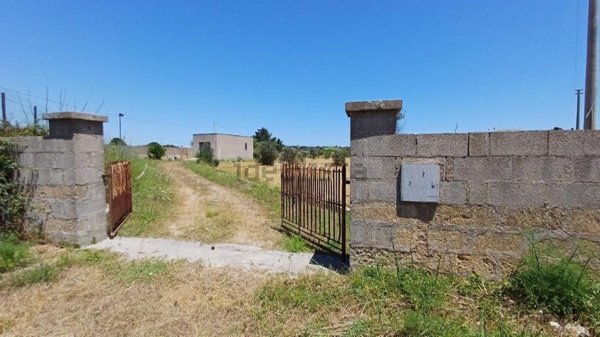 terreno agricolo in vendita a Castrignano del Capo