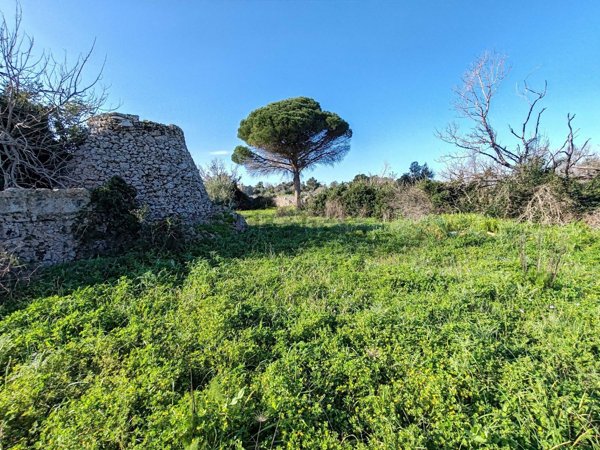 terreno agricolo in vendita a Castrignano del Capo in zona Salignano