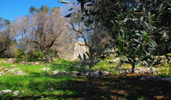 casa indipendente in vendita a Castrignano del Capo in zona Santa Maria di Leuca