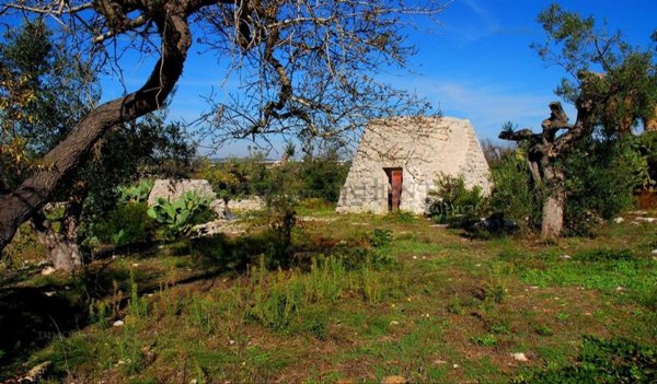 terreno agricolo in vendita a Castrignano del Capo in zona Santa Maria di Leuca