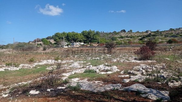terreno agricolo in vendita a Castrignano del Capo
