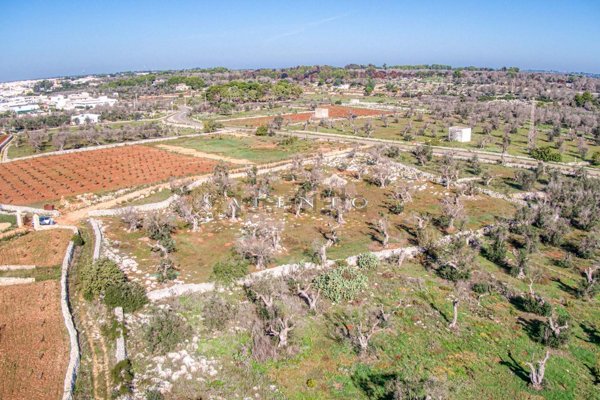 terreno agricolo in vendita a Castrignano del Capo