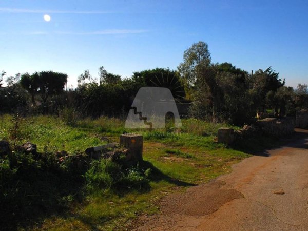 terreno agricolo in vendita a Castrignano del Capo in zona Santa Maria di Leuca