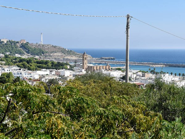 terreno agricolo in vendita a Castrignano del Capo in zona Santa Maria di Leuca