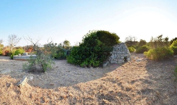 terreno agricolo in vendita a Castrignano del Capo