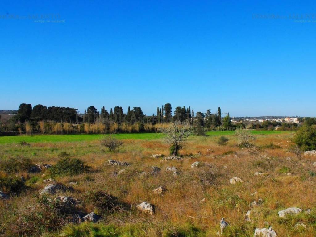 terreno agricolo in vendita a Castrignano del Capo in zona Salignano