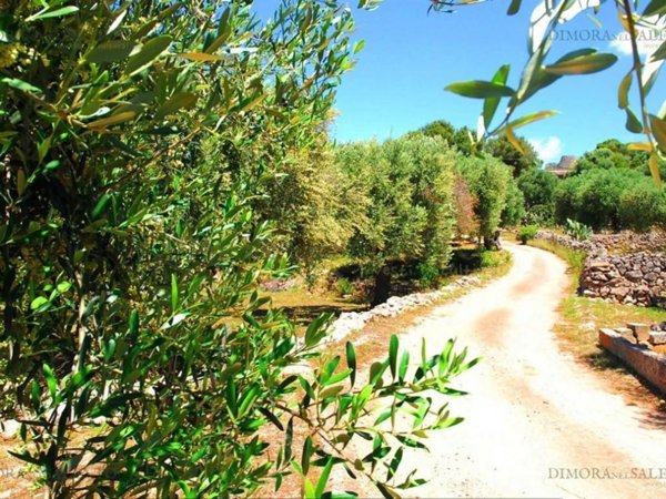 terreno agricolo in vendita a Castrignano del Capo