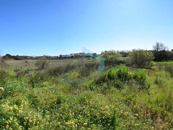 terreno agricolo in vendita a Castrignano del Capo in zona Santa Maria di Leuca