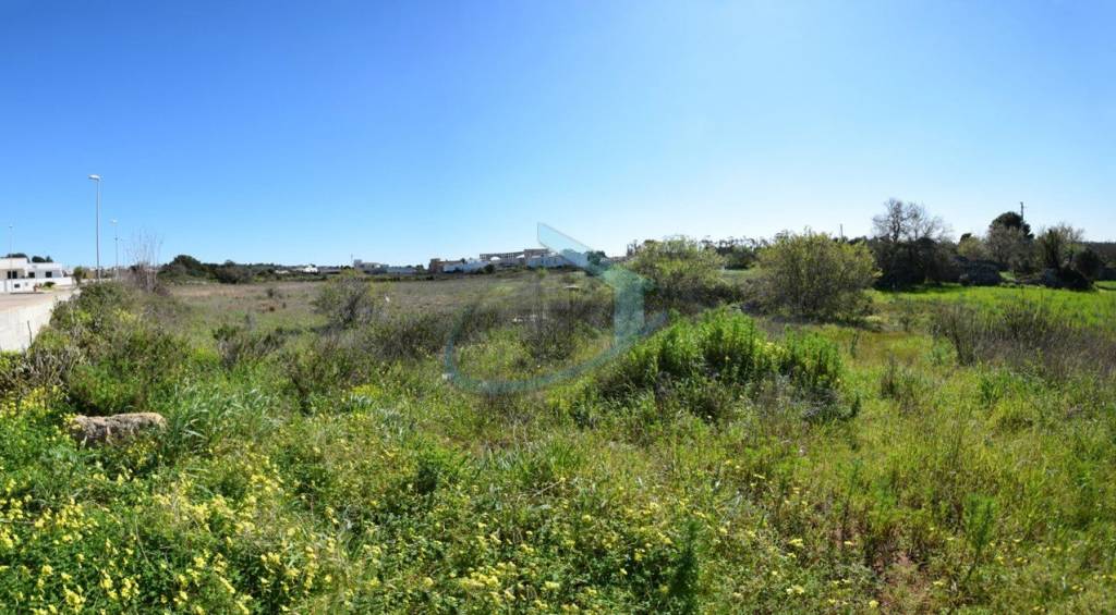terreno agricolo in vendita a Castrignano del Capo in zona Santa Maria di Leuca