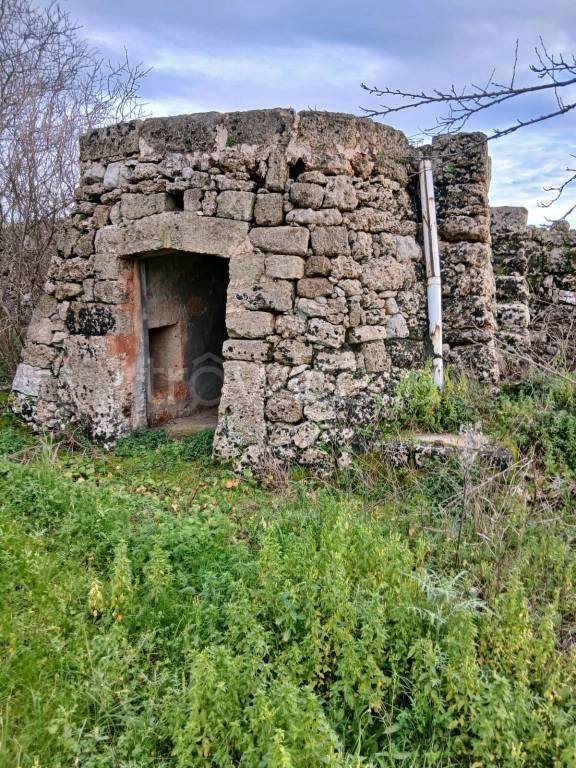 terreno agricolo in vendita a Castrignano del Capo in zona Santa Maria di Leuca