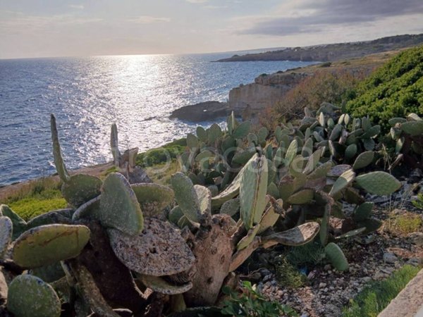 terreno agricolo in vendita a Castrignano del Capo in zona Santa Maria di Leuca