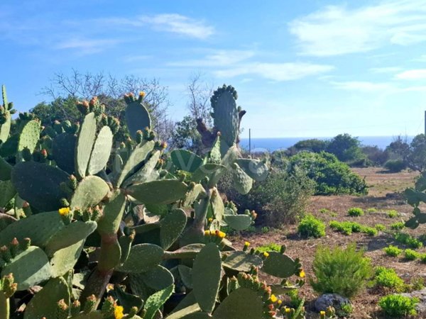 terreno agricolo in vendita a Castrignano del Capo