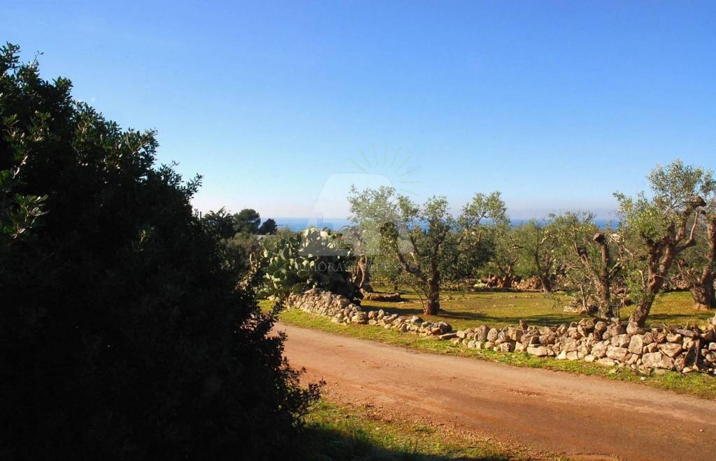 casa indipendente in vendita a Castrignano del Capo